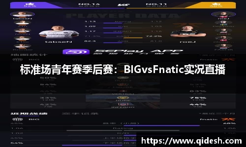 标准场青年赛季后赛：BIGvsFnatic实况直播